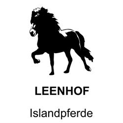 Leenhof Reitschule - Islandpferde