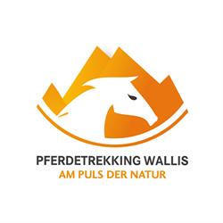 pferdetrekking-wallis.ch GmbH
