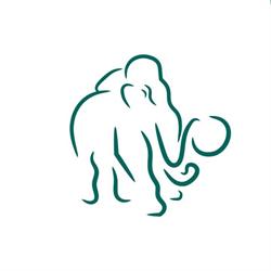 Mammut Soft Computing AG