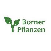 Gärtnerei und Baumschule - Borner Pflanzen