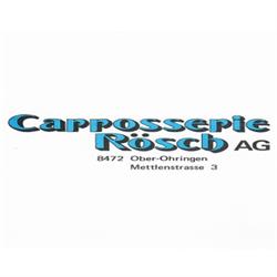 Carrosserie Rösch AG