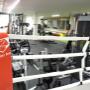 Jens Krull Boxing