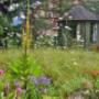 Gartenumänderung Region Basel