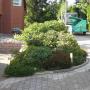 Gartenunterhalt & Gartenpflege