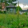Gartenunterhalt & Gartenpflege