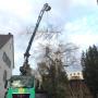 Gartenservice Basel