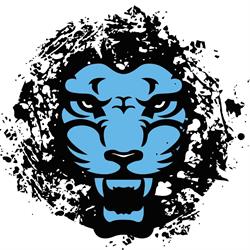 Lionsoul Zürich 24H Fitness