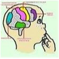 EEG-Neurofeedback Praxis