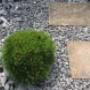 Gartenbau Seftigen
