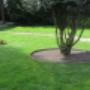 Gartenbau Seftigen