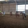 ecole d'équitation de granges cours collectif