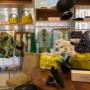 # 6