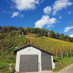 KLUS 177 - biodynamisches Weingut, Eventlocation