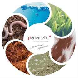 Penergetic International AG