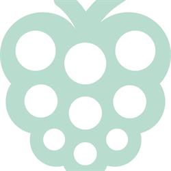 Whiteberry Smile GmbH