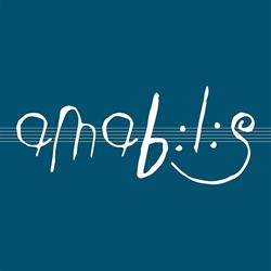 Amabilis - Orchestre de Chambre de Saint- Paul, Lausanne
