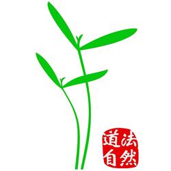 CHinatur Praxis für Akupunktur und TCM