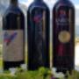 Pinot Noir Pfyfoltru