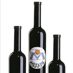 Giorgio Misani AG