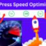 WordPress Seitenladezeit Speedoptimierung