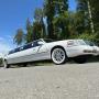 Limo Service Lincoln Town Car
Zollgarage