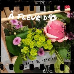 A Fleur d'O, Mary-Claude Ruchet