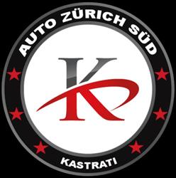 Auto Zürich Süd