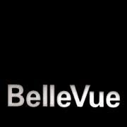 BelleVue – Ort für Fotografie
