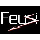 Feusi électricité SA