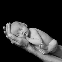 Baby Fotograf Zürich