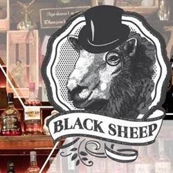 BLACKSHEEP