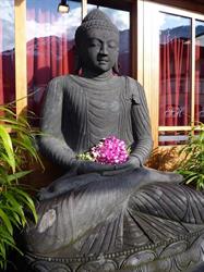 Buddha Bar