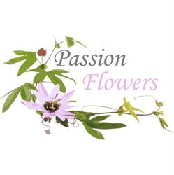 Passion Flowers - Blumenladen in Lengnau