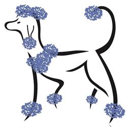 Hundesalon Fellissima