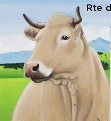 La Ferme Aebischer