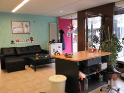 Hundesalon Roxy