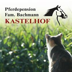 Pferdepension Kastelhof
