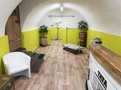 GeFellt mir Hundesalon