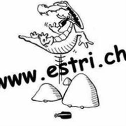 Estrich Winistorf