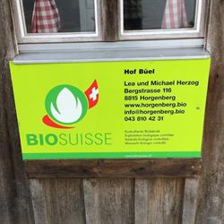 Hof Büel Horgenberg