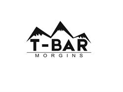 T-Bar