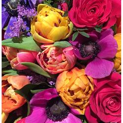 Flowerbar Meilen
