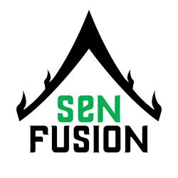 Sen Fusion