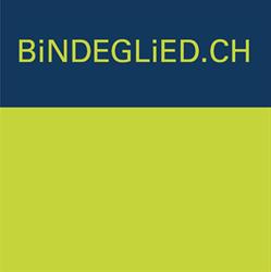 Bindeglied GmbH