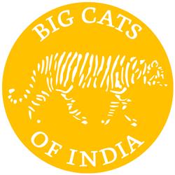 Big Cats of India GmbH