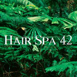 Hair Spa 42