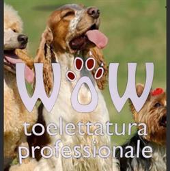 WOW Toelettatura Professionale per cani e gatti a Lugano