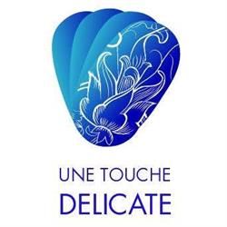 Une Touche Délicate - Emilie Braun