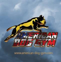 American Dog Gym