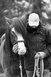 Beat Stutz Horse Assisted Coaching